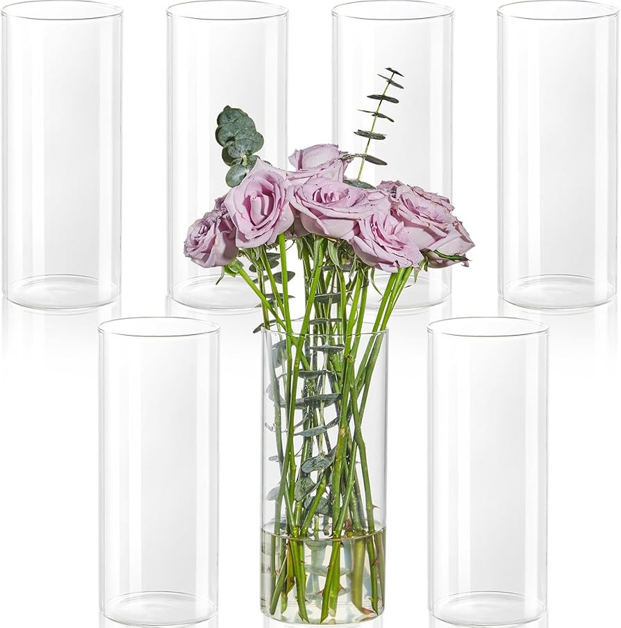 7pcs Glass Cylinder Vases for Centerpieces - 8 Inch Tall Glass Vases for Flower, Clear Flower Vas... | Amazon (US)