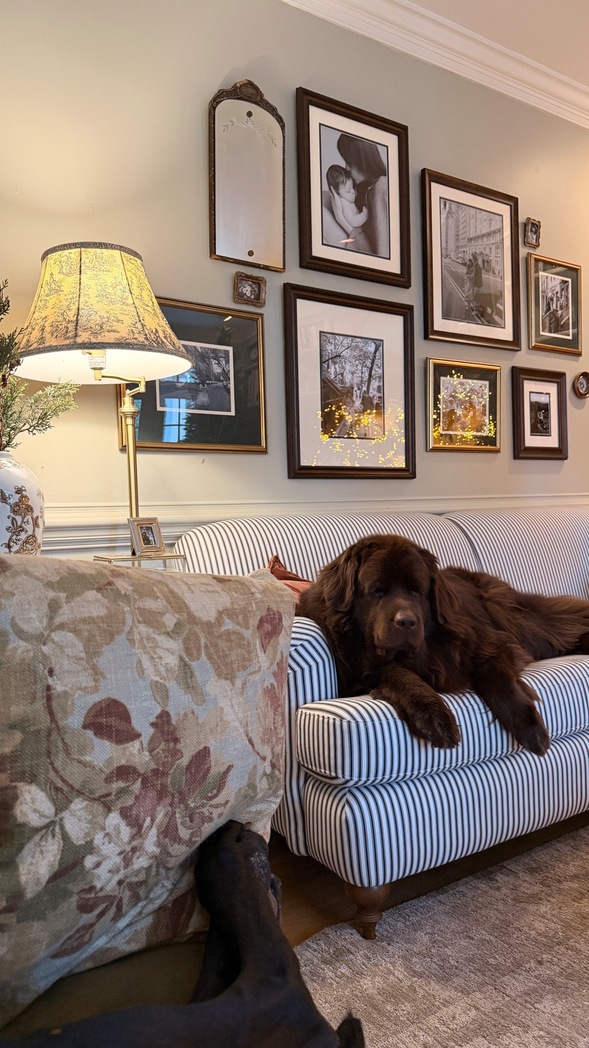 Added a gallery wall of some of my favorite family photos after getting custom framing done at Michaels and this wall finally feels complete! These would also make a great gift this holiday season + they’re up to 70% off! #Ad #michaelspartner @michaelsstores #michaelscustomframing 