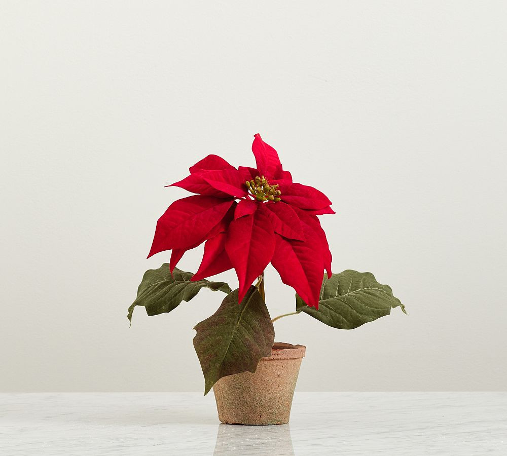 Faux Potted Poinsettias | Pottery Barn (US)