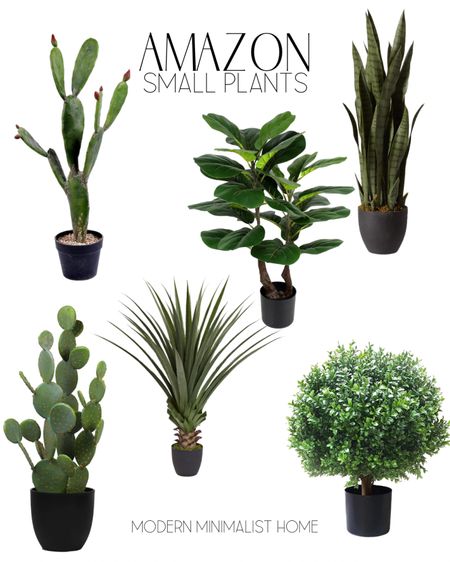 Amazon Small plants for console table or floor.

Plants, faux plants, artificial plants, house plants, outdoor plants, fake plants, indoor plants, patio plants, porch plants, artificial tree, faux tree, indoor tree, Home, home decor, home decor on a budget, home decor living room, modern home, modern home decor, modern organic, Amazon, wayfair, wayfair sale, target, target home, target finds, affordable home decor, cheap home decor, sales, 

#LTKhome #LTKunder50