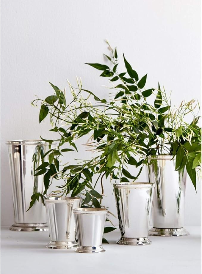 Serene Spaces Living Silver Plated Julep Cup Vase, 3 inches | Amazon (US)