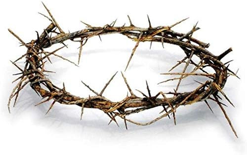 Authentic Biblical Lifesize 8" Crown of Thorns w/ Certificate | Amazon (US)