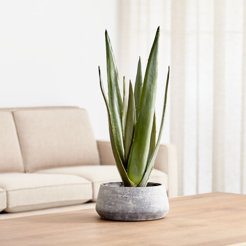 Artificial/Faux Potted Agave + Reviews | Crate & Barrel | Crate & Barrel