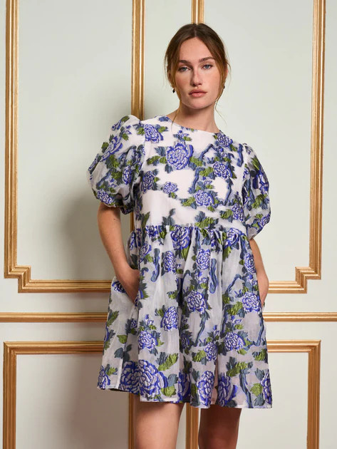 DREAM Iris Organza Mini Dress | Sister Jane (UK)