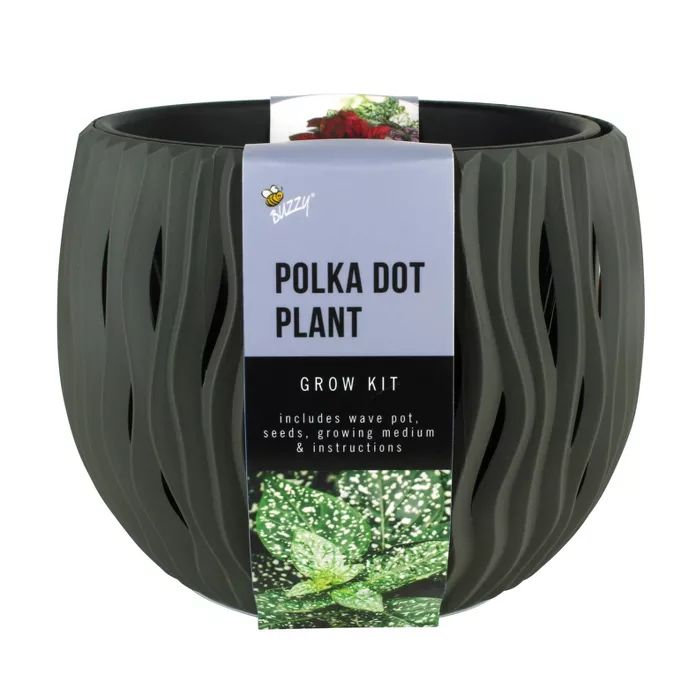 Houseplants Wave Grow Pot Gray - Buzzy Seeds | Target