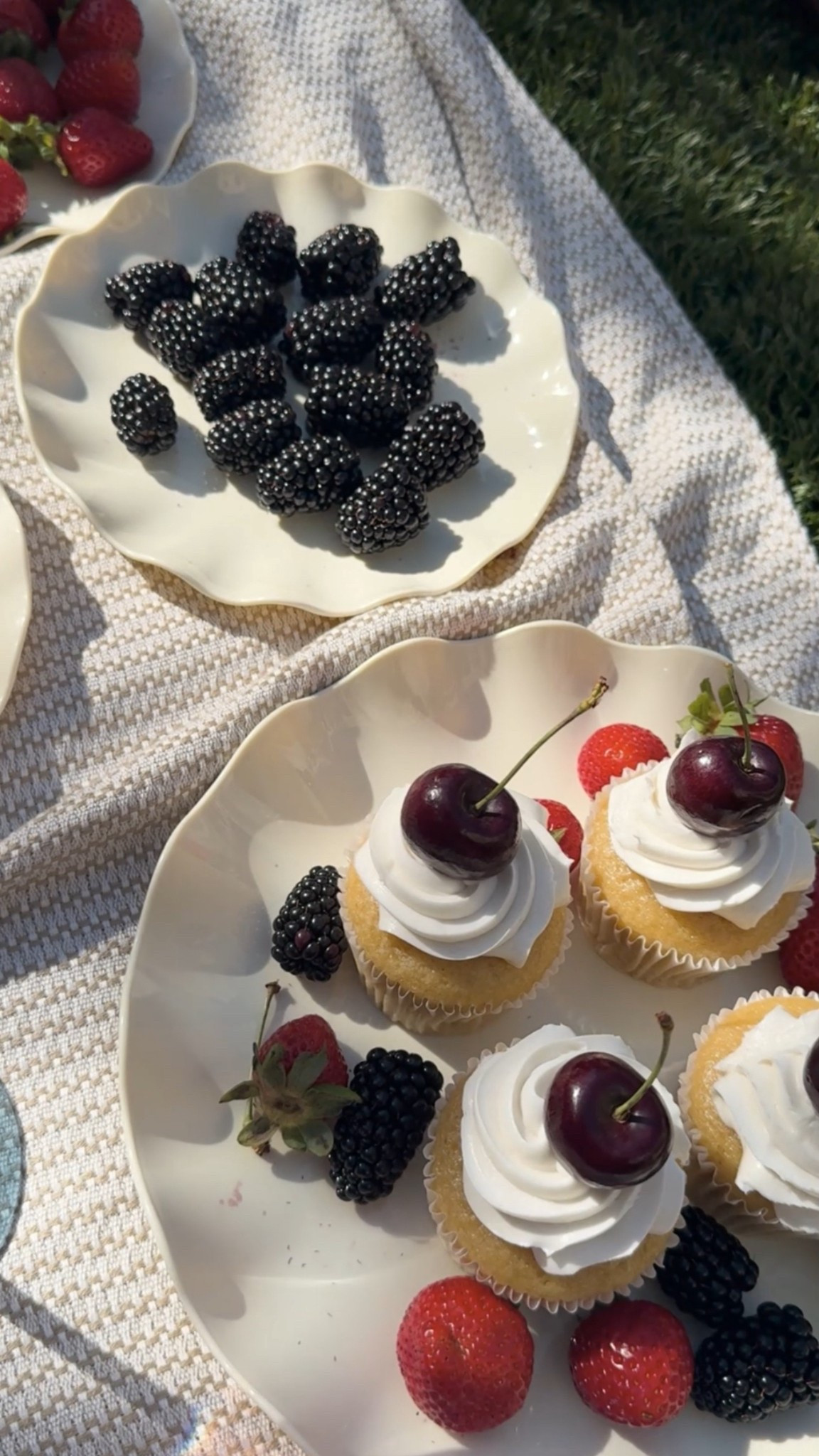 Perfect Picnic Plates