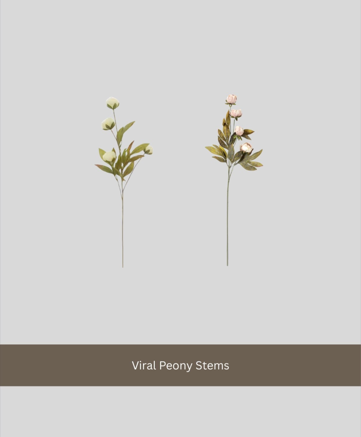 Keep checking, stock gets replenished frequently.

Peonies
Viral
Spring decor

#LTKSeasonal #LTKHome