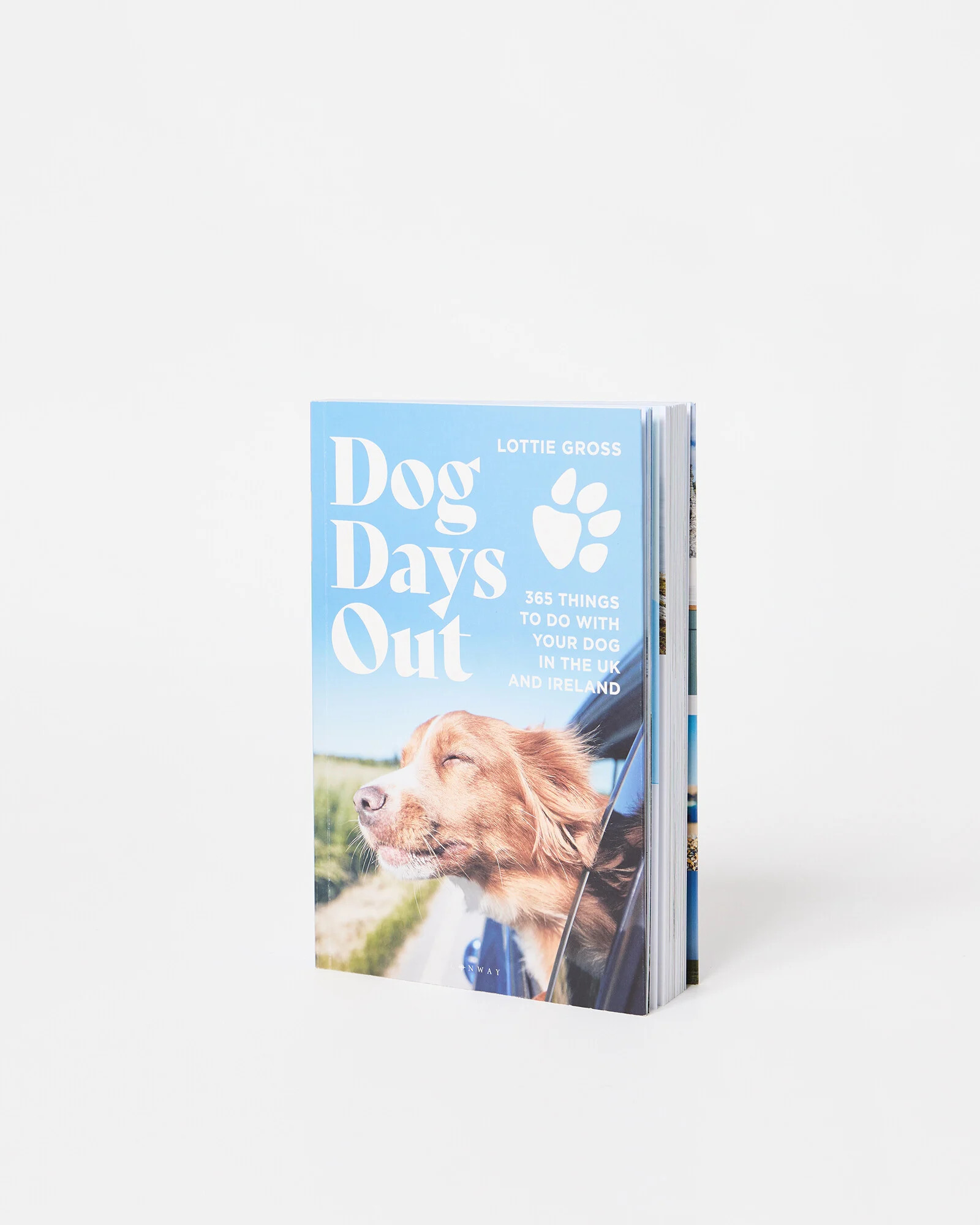 Dog Days Out Book | Oliver Bonas | Oliver Bonas (Global)
