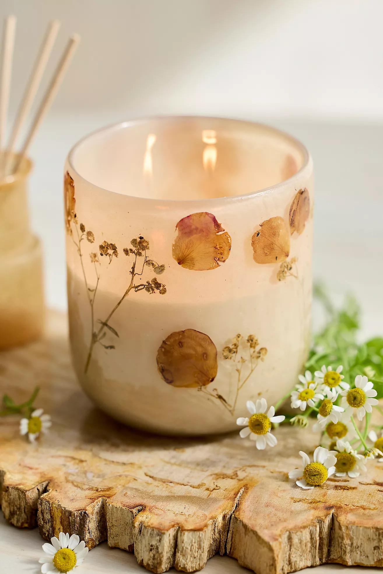 Linnea Pressed Floral Candle | Anthropologie (US)