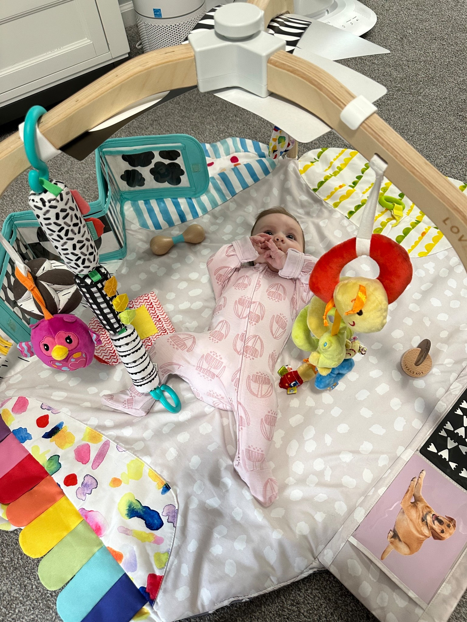 My baby’s favorite play gym!🩷

#LTKBaby #LTKKids #LTKSaleAlert
