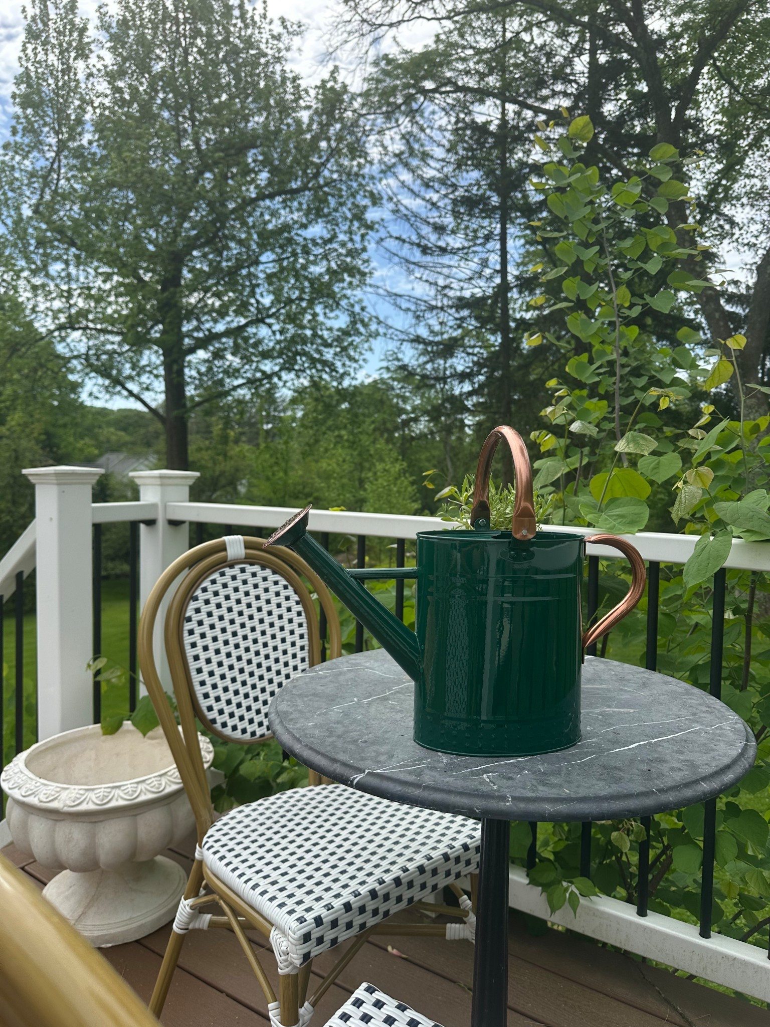 the most gorgeous watering can and amazing quality 🚿

#LTKSaleAlert #LTKFindsUnder50 #LTKHome