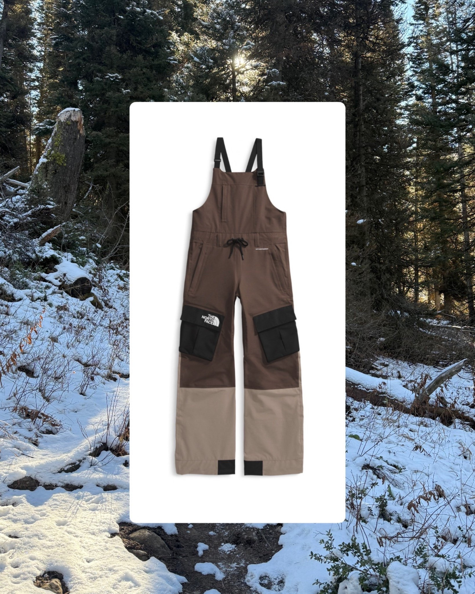 Just ordered my new bibs for this ski season!! #thenorthface #rei #snowboarding #skiing 

#LTKHoliday #LTKGiftGuide