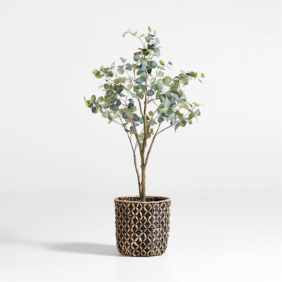 Faux Silver Dollar Eucalyptus Tree 8' + Reviews | Crate & Barrel | Crate & Barrel
