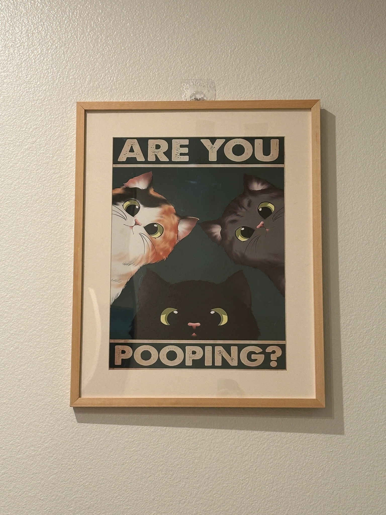 got this from the flea market and hung it directly across my toilet just to scare guests whenever they come over