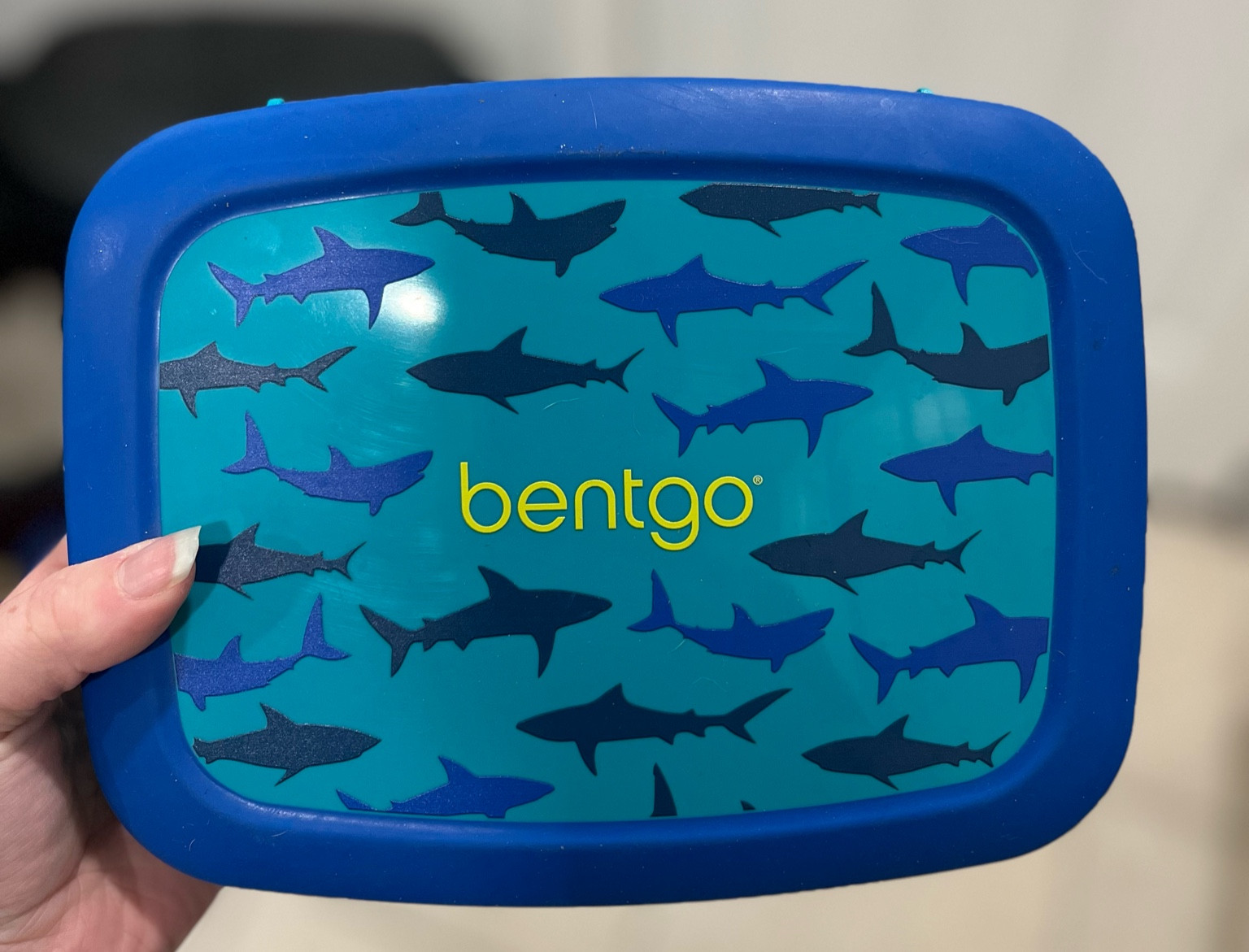 A much needed new lunchbox for lil man 

#LTKFindsUnder50 #LTKKids