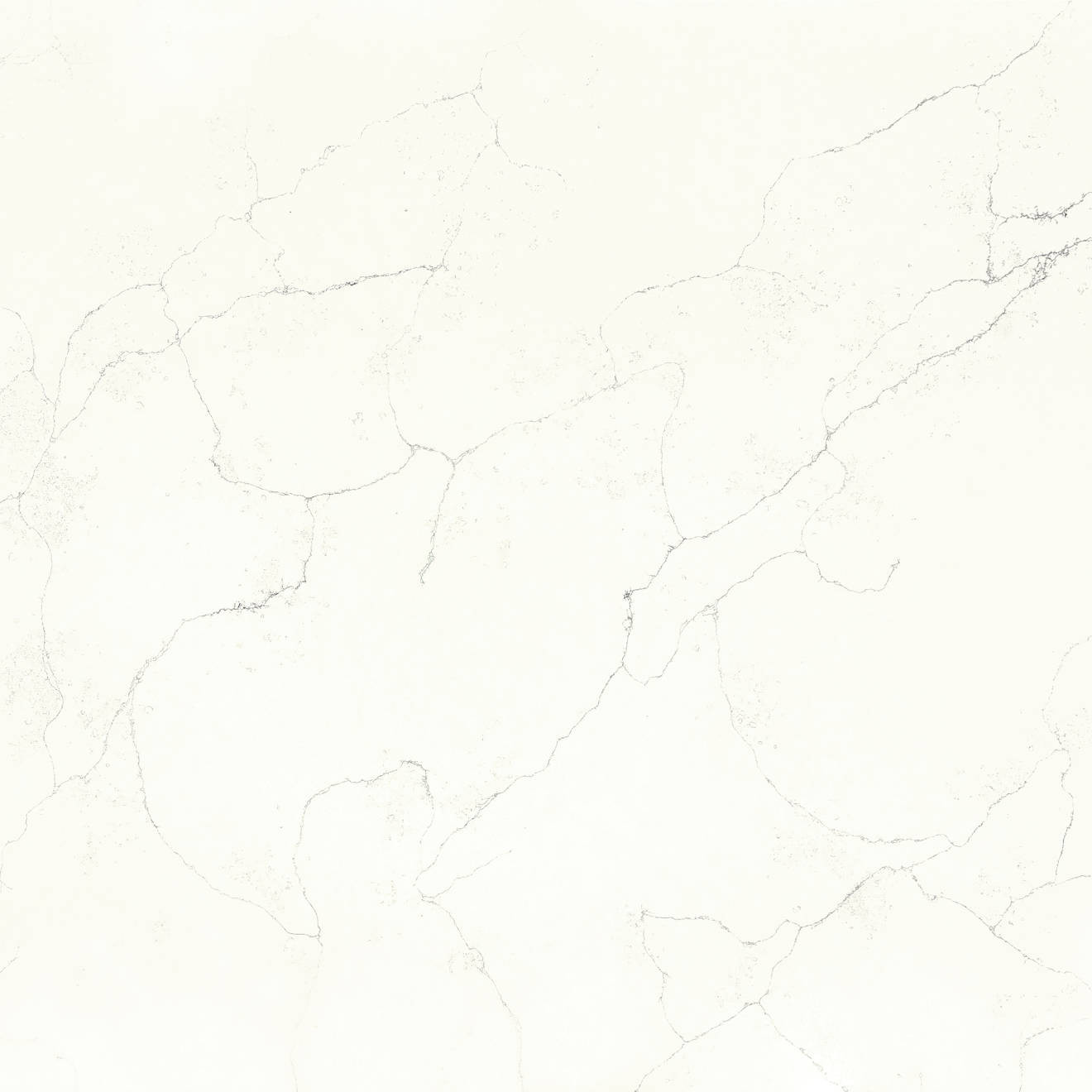 Revera 63" x 126" - 3 cm Polished Quartz Slab in Calacatta Dunes | Bedrosians Tile and Stone