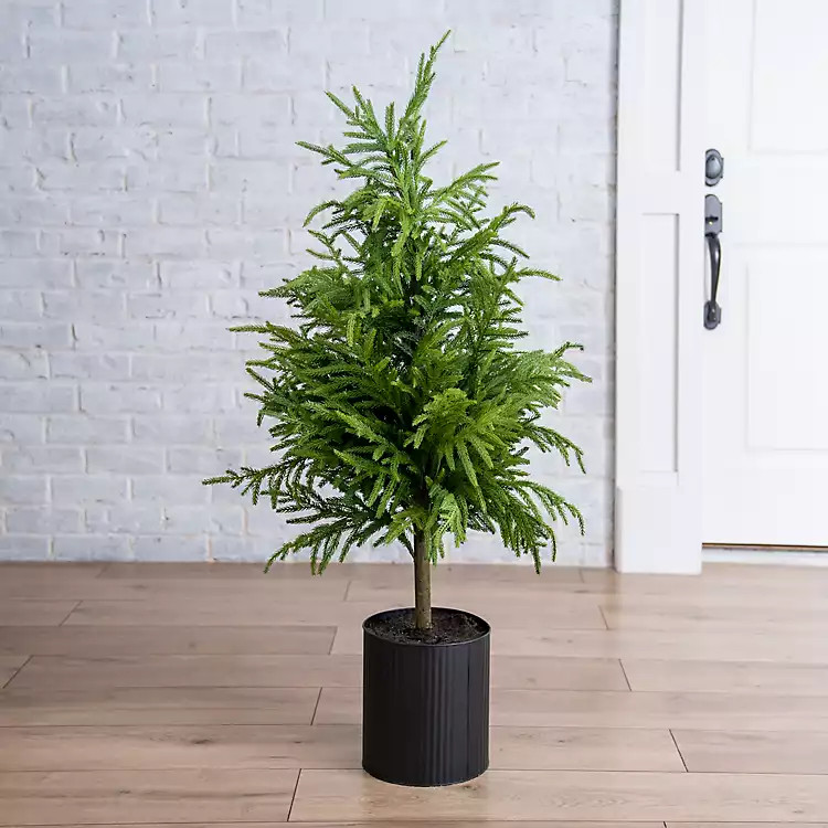 Potted Norfolk Pine Mini Christmas Tree, 50 in. | Kirkland's Home