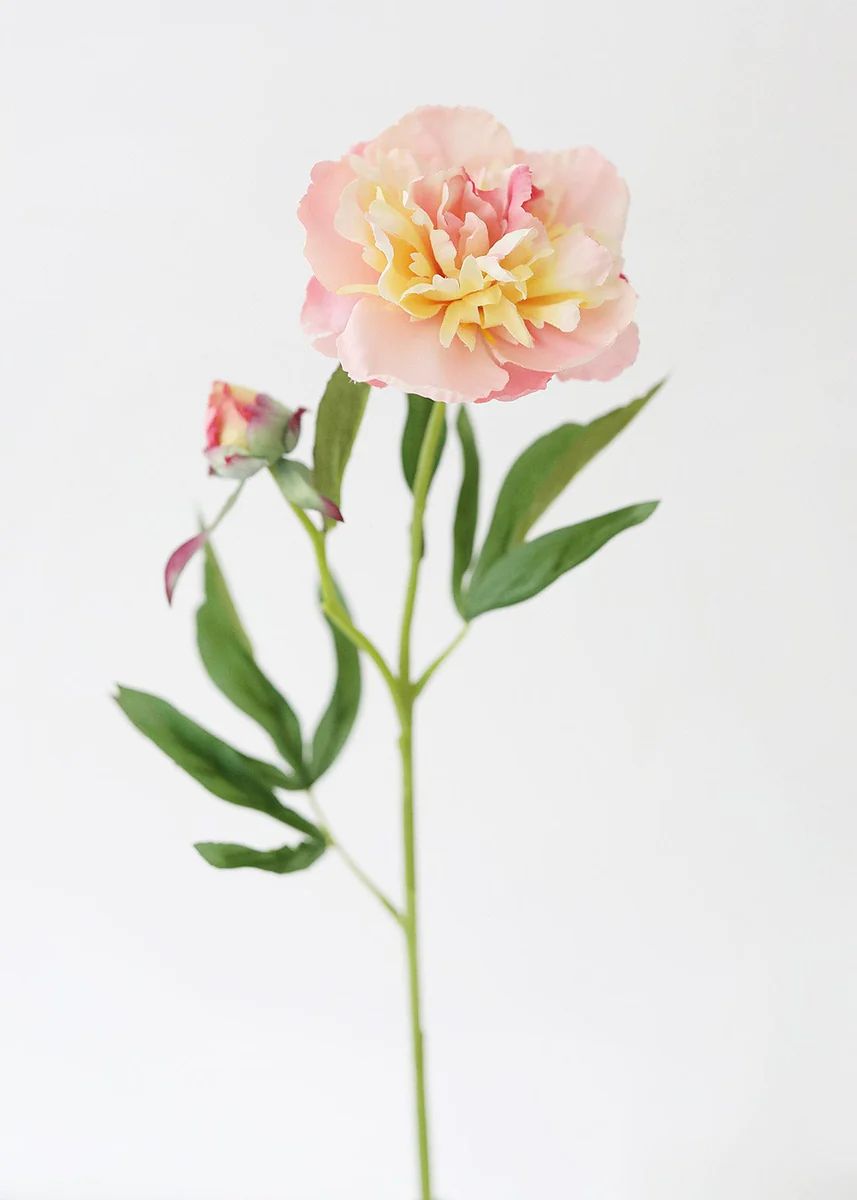 Soft Apricot Pink Peony Fake Flower - 22 | Afloral (US)