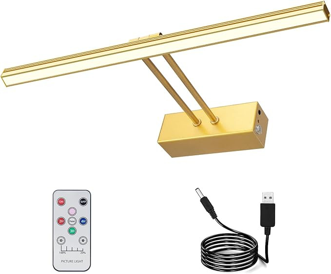 Picture Light, Rechargeable Picture Lights for Paintings,Remote Control Display Art Light with Ti... | Amazon (US)