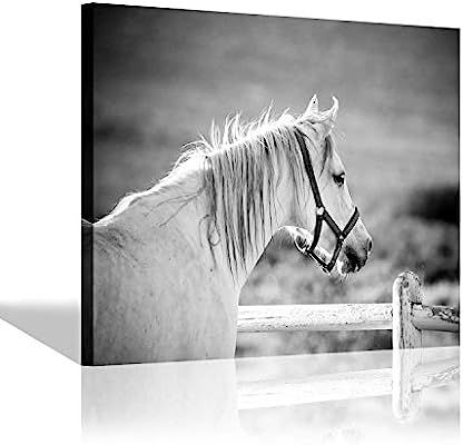 White Horse Artwork Wall Art: Farm Animal Canvas Print Horse Picture for Bedroom Wall (24'' x 18'... | Amazon (US)