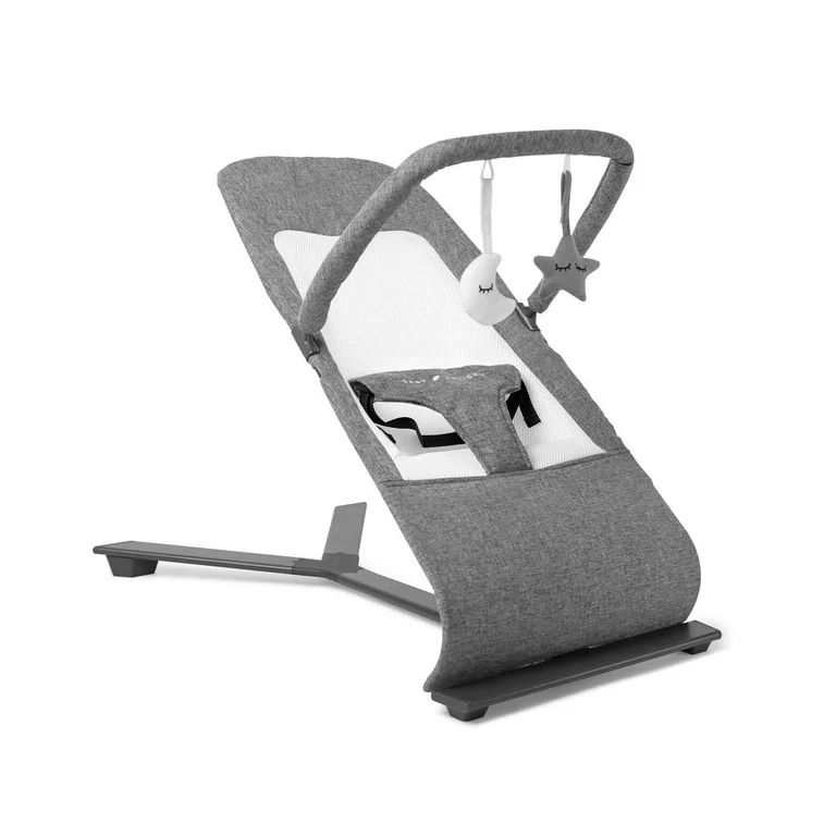 Baby Delight Alpine Deluxe Portable Infant Bouncer - for Use 0-6 Months- Charcoal Tweed | Walmart (US)