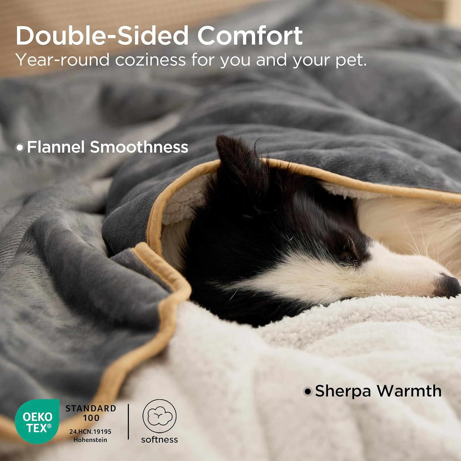 Bedsure Waterproof Dog Blankets for Small Dogs - Small Cat Blanket Washable for Couch Protection,... | Amazon (US)