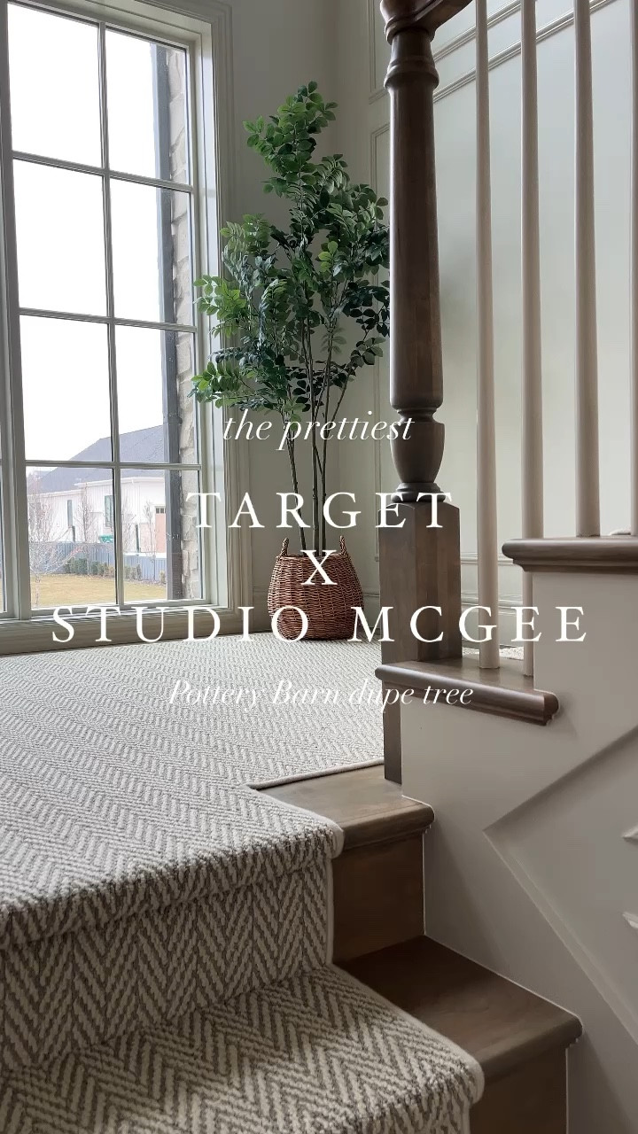 The prettiest Pottery Barn dupe faux tree is at Target by Studio McGee!

#potterybarndupe #artificialtree #fauxtree

Indoor tree, Target must have, home decor, cozy book, cozy corner, house plant, faux plant, pottery barn, green leaf tree, basket, home style, home styling, entry decor, bedroom decor, kitchen decor, living room decor, office decor

#LTKSeasonal #LTKhome #LTKstyletip