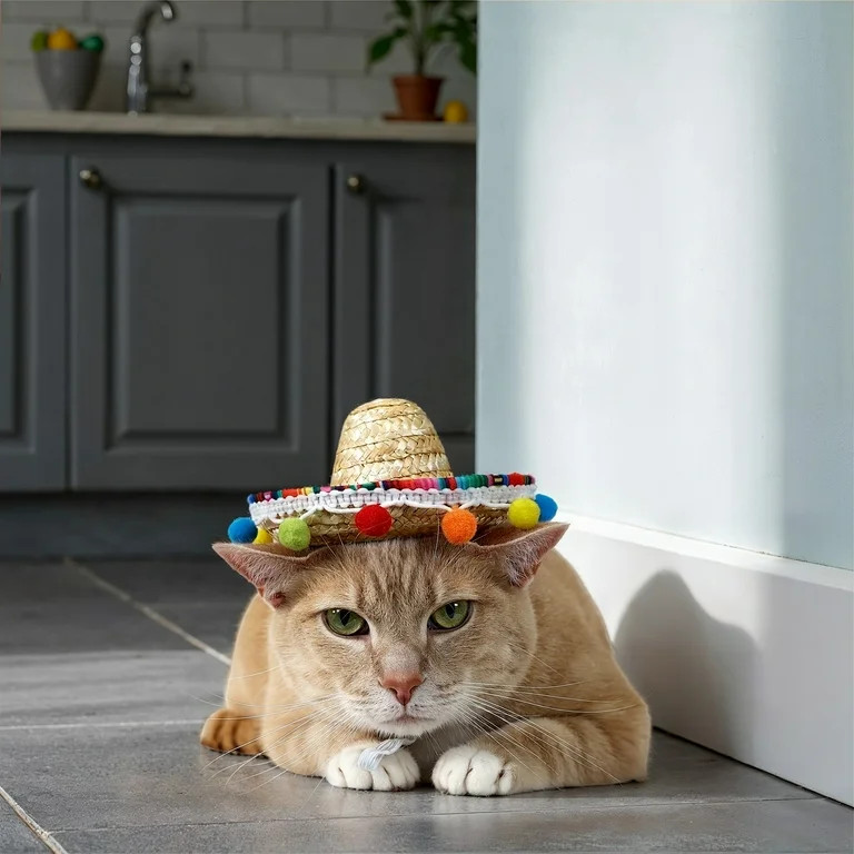 Vibrant Life Halloween Sombrero Hat Costume for Dogs & Cats, Multicolored, Extra Small/Small | Walmart (US)