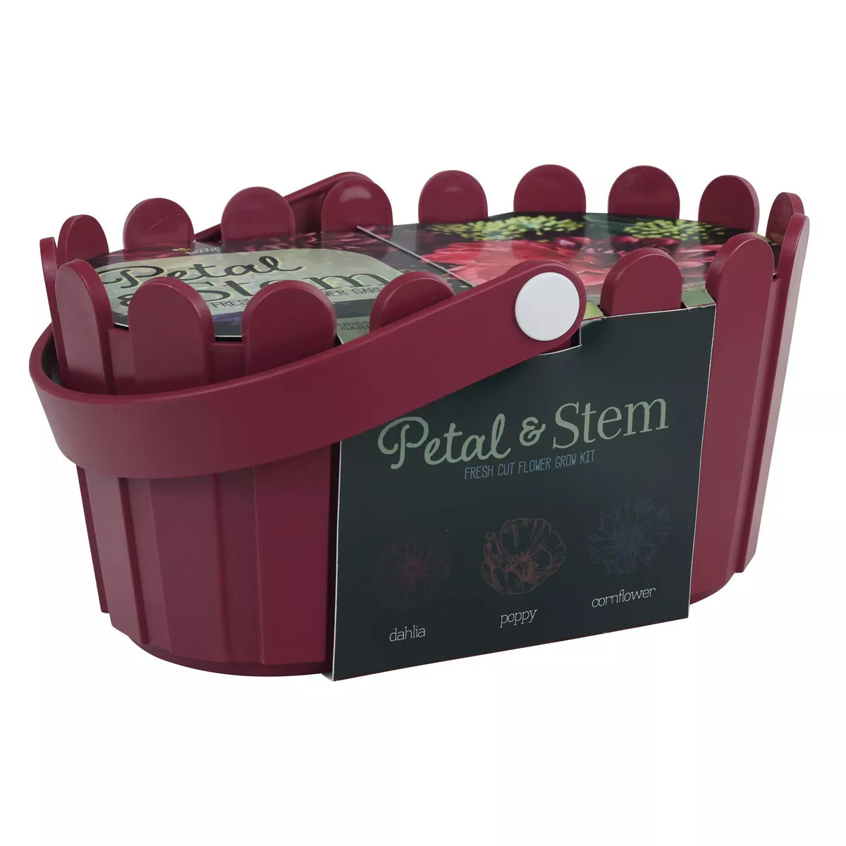 Buzzy Seeds Petal and Stem Fresh Cut Flower Garden Seed Kit | Target