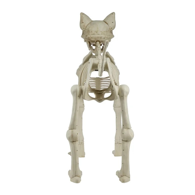 60 Inch White Skeleton Cat, Halloween Decoration, by Way to Celebrate | Walmart (US)