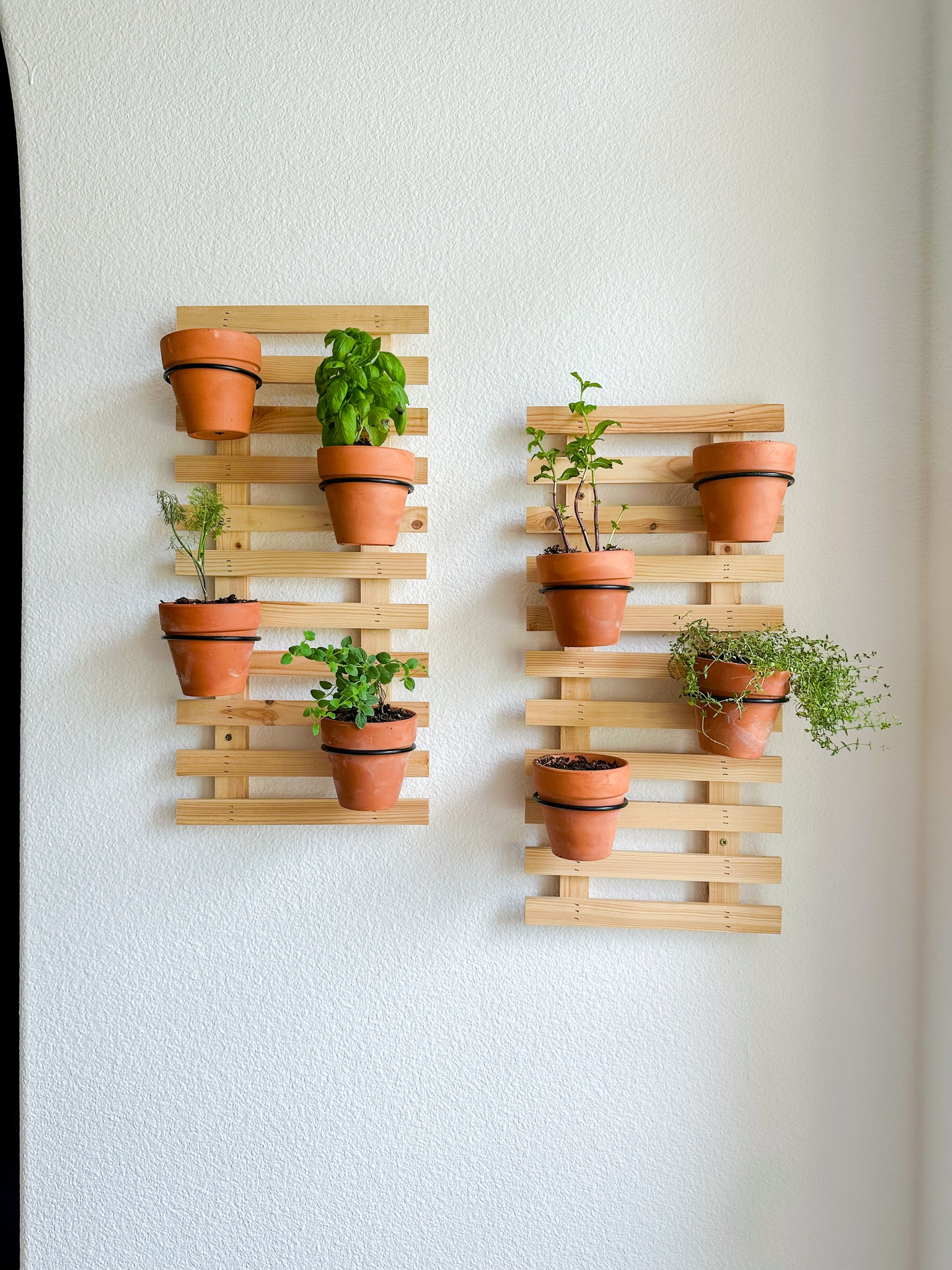 Succulent and Herb wall! 

#LTKFindsUnder50 #LTKHome