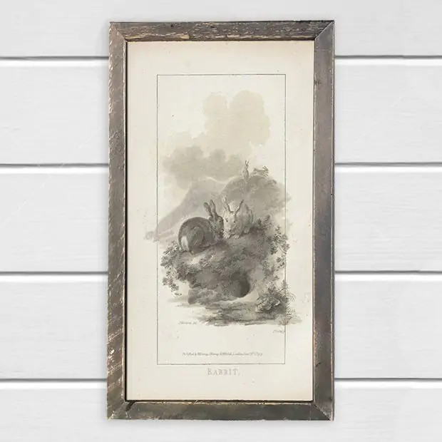 Rustic Framed Vintage Bunnies Illustration Wall Art | Antique Farm House