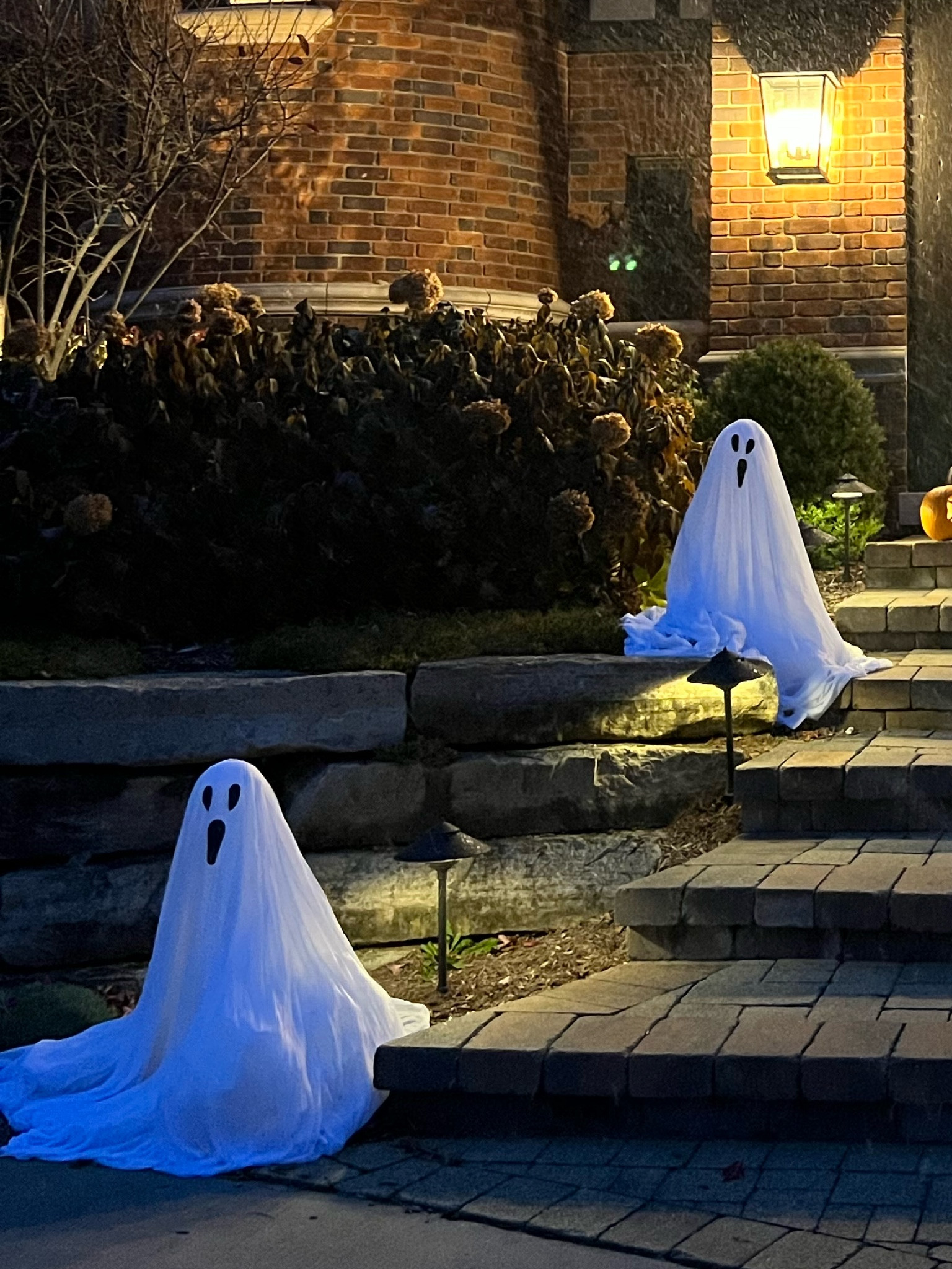 Halloween Decor 👻
Outdoor ghosts 