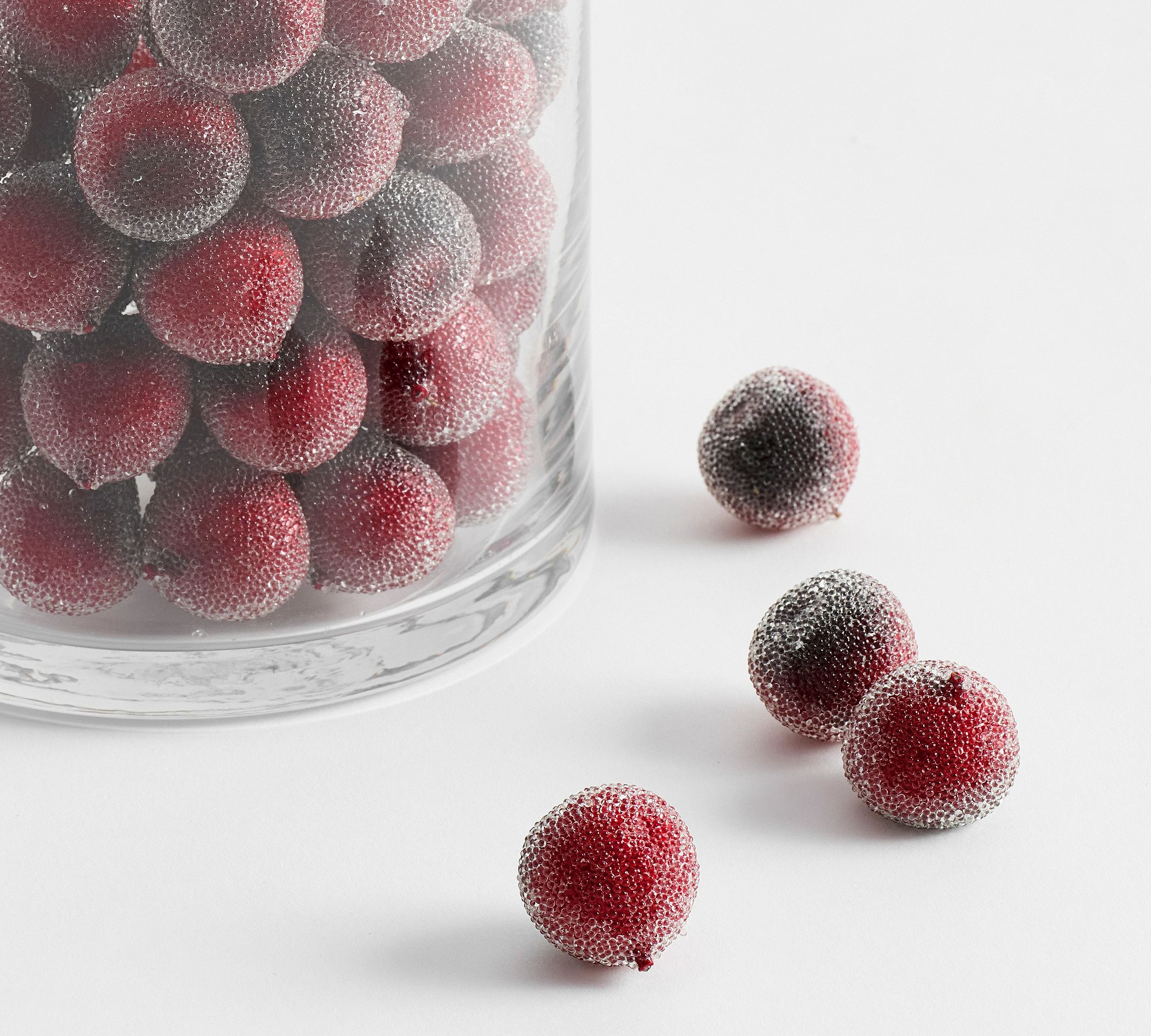 Red Sugared Berries Vase Filler | Pottery Barn (US)