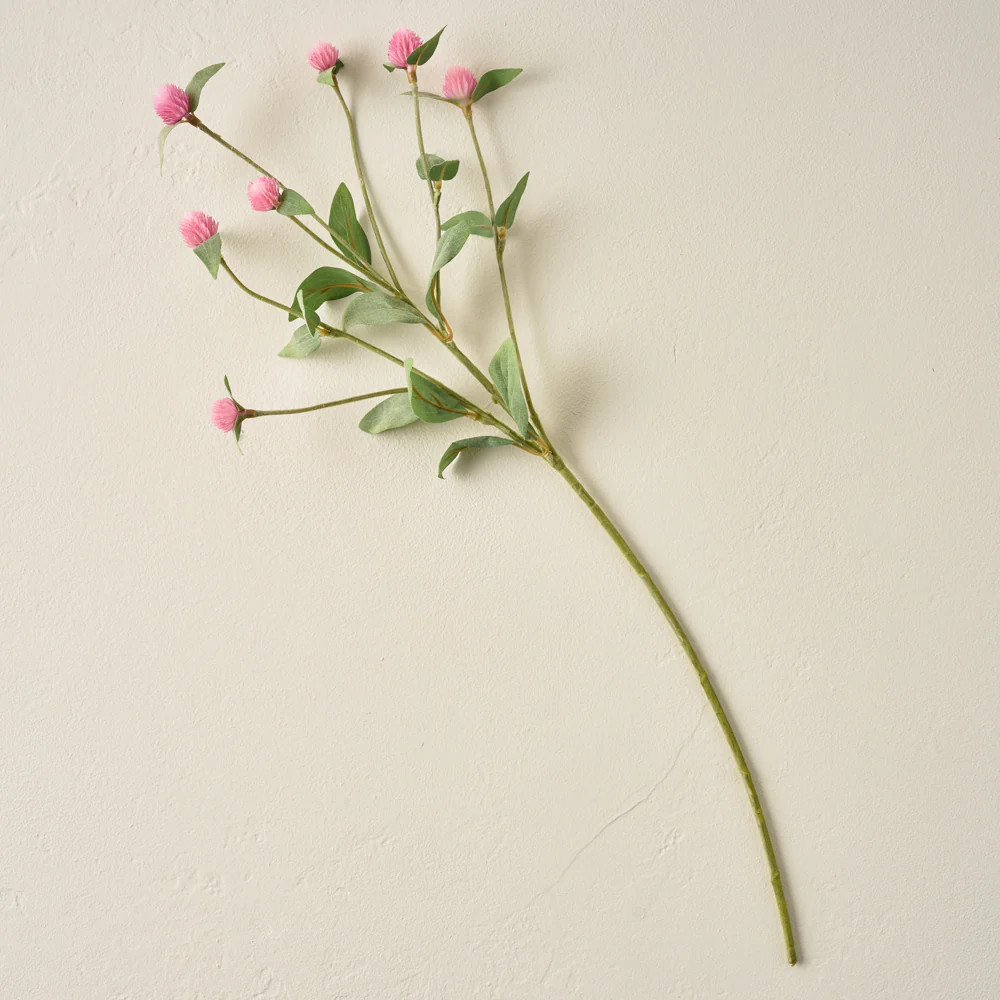 Pink Gomphrena Spray | Magnolia