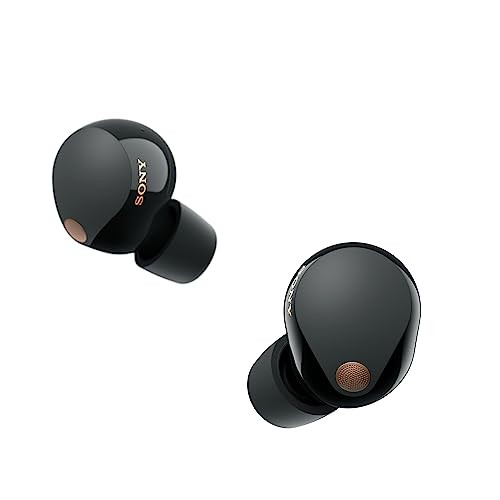 Sony WF-1000XM5 Wf Xm5, The Best Truly Wireless Noise Cancelling Earbuds, Made from Recycled Plastic Materials, Clear Bluetooth Signal, Adaptive Sound Control with AI, Xm5 Earbuds, Black | Amazon (US)