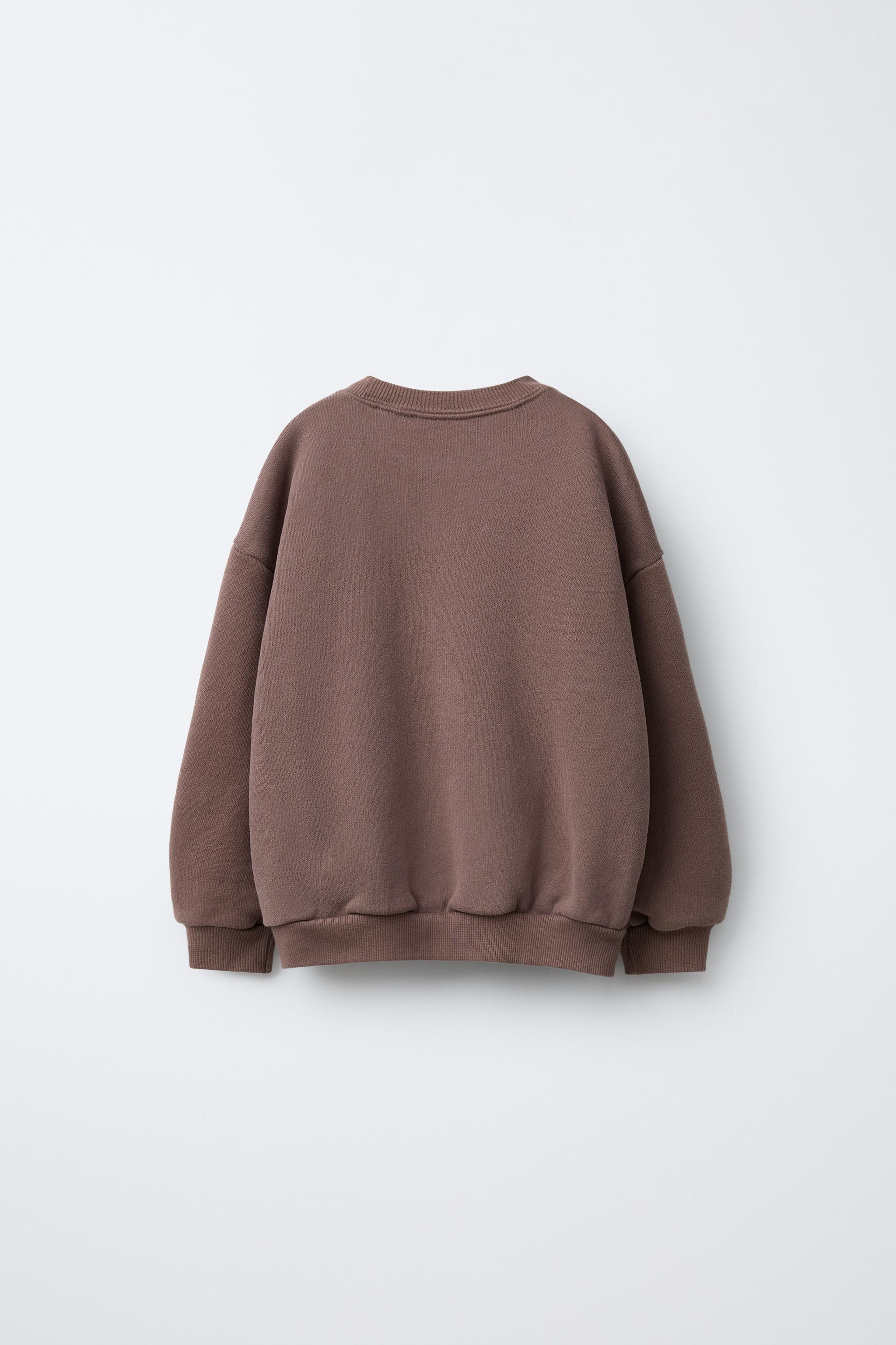 EMBROIDERED TEXT SWEATSHIRT | Zara US