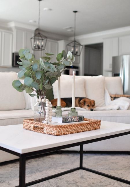 Coffee table decor 



#LTKhome #LTKSeasonal