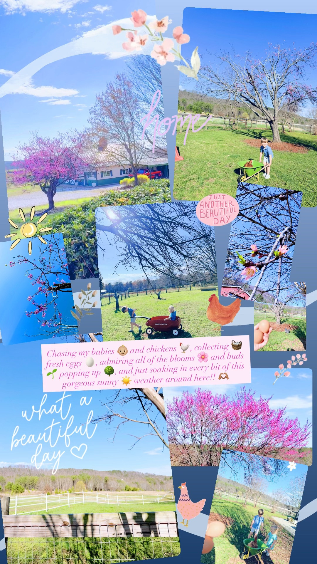 Chasing my babies 👶🏼 and chickens 🐓, collecting 🧺 fresh eggs 🥚, admiring all of the blooms 🌸 and buds 🌱 popping up 🌳, and just soaking in every bit of this gorgeous sunny ☀️ weather around here!! 🫶🏽 