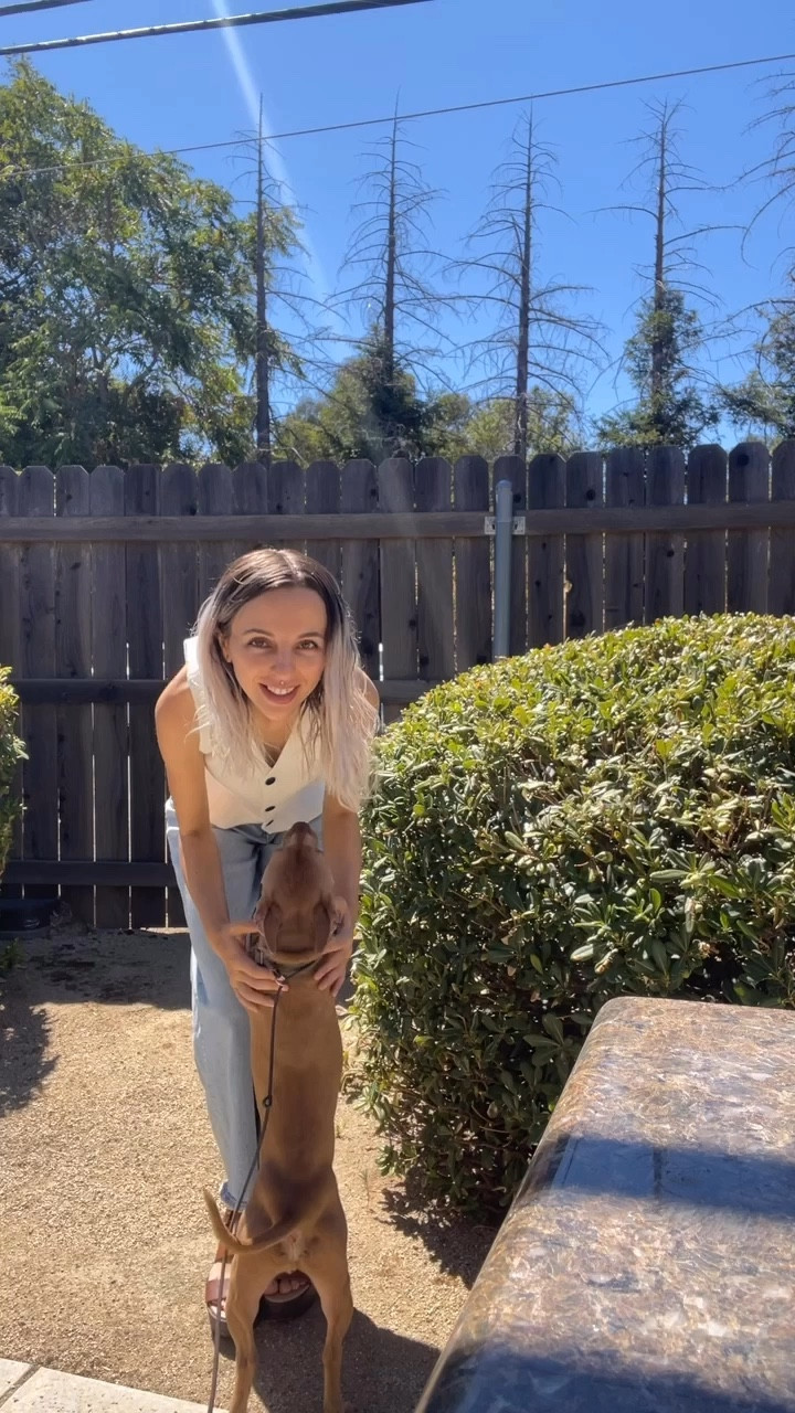 Thought I better wear white today since you’re not supposed to wear after Labor Day! Kidding, I don’t follow this rule but I did find this cute little top on Amazon. Ignore the puppy paws Ollie left on my H&M jeans!

#LTKFindsUnder50 #LTKVideo #LTKSeasonal
