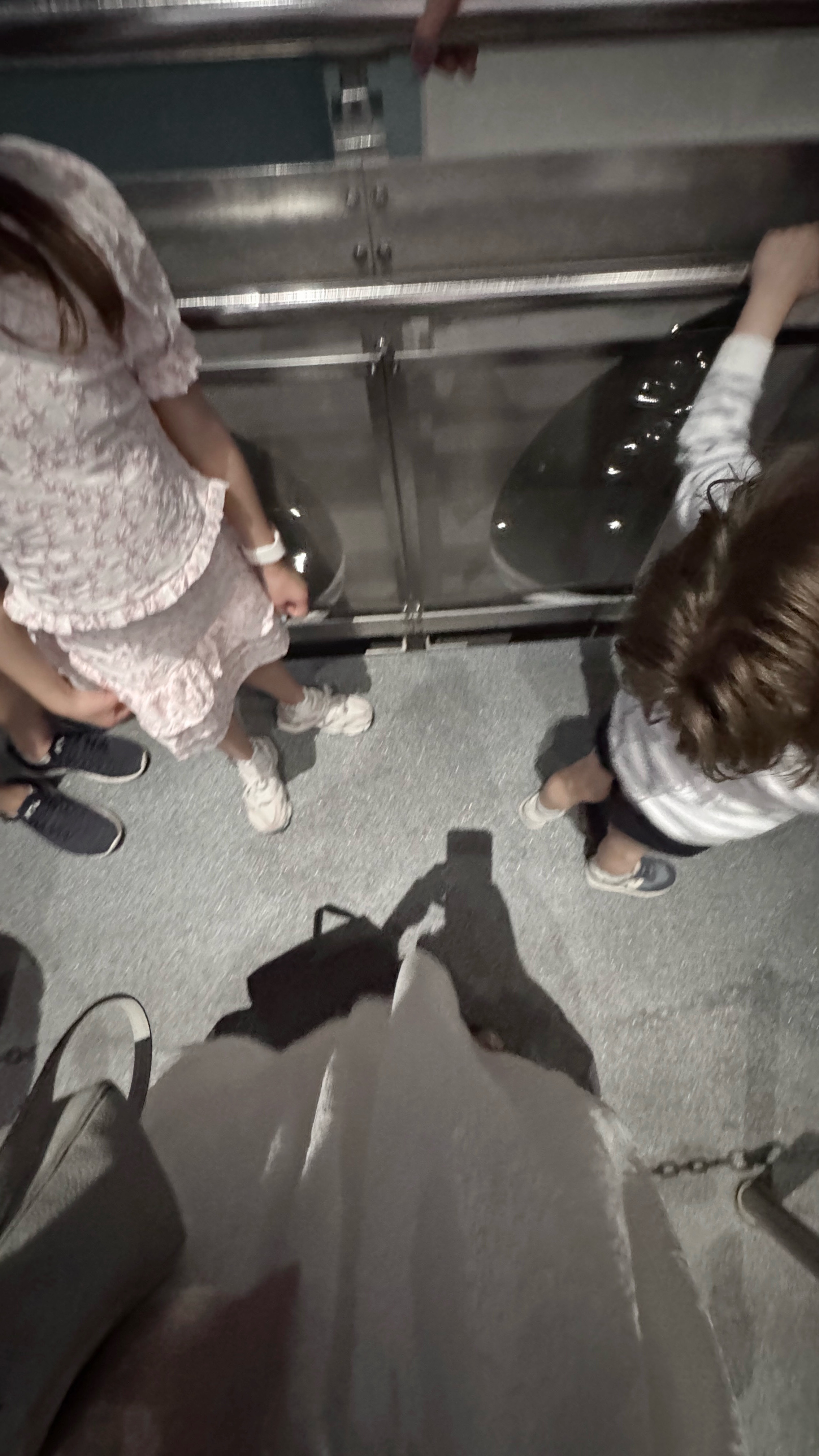 Disney day 3! Loved our outfits and below are also the things that made my life easier there! The boys were wearing shirts under their sweaters linked below. Customize colors as you wish! Their hats got SO many compliments and I searched the find the perfect pink bow ears for Elle! 