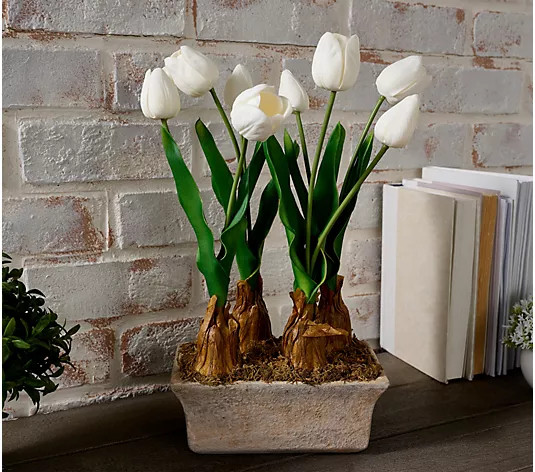 Cozy Cottage by Liz Marie Artificial Tulip Tabeltop Pot | QVC