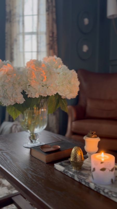 My this cozy, moody corner of my blue vintage modern living room. I love these real touch faux hydrangeas, this gorgeous viola marble tray, and our stunning and comfy leather chair!  #livingroom #springdecor #cozycorner #accentchair #fauxflowers

#LTKhome #LTKVideo