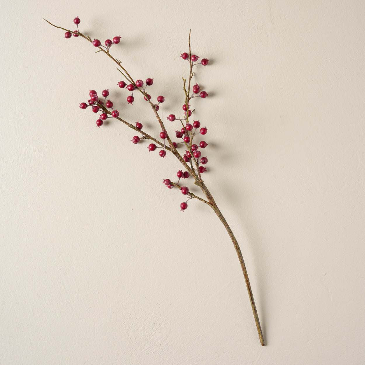 Red Berry Pick | Magnolia