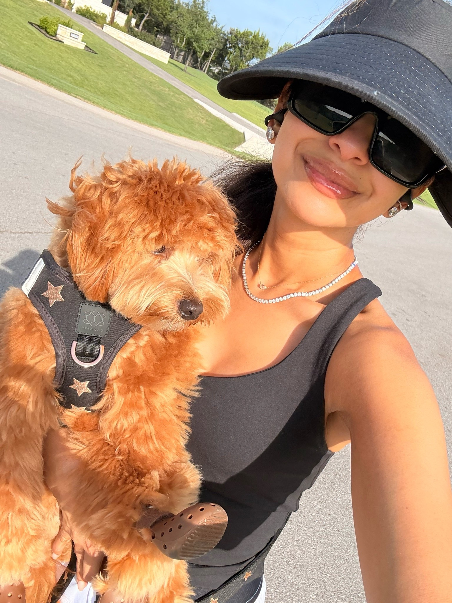 My favorite hat for keeping sun off my face on walks + Remy's harness that we love!
