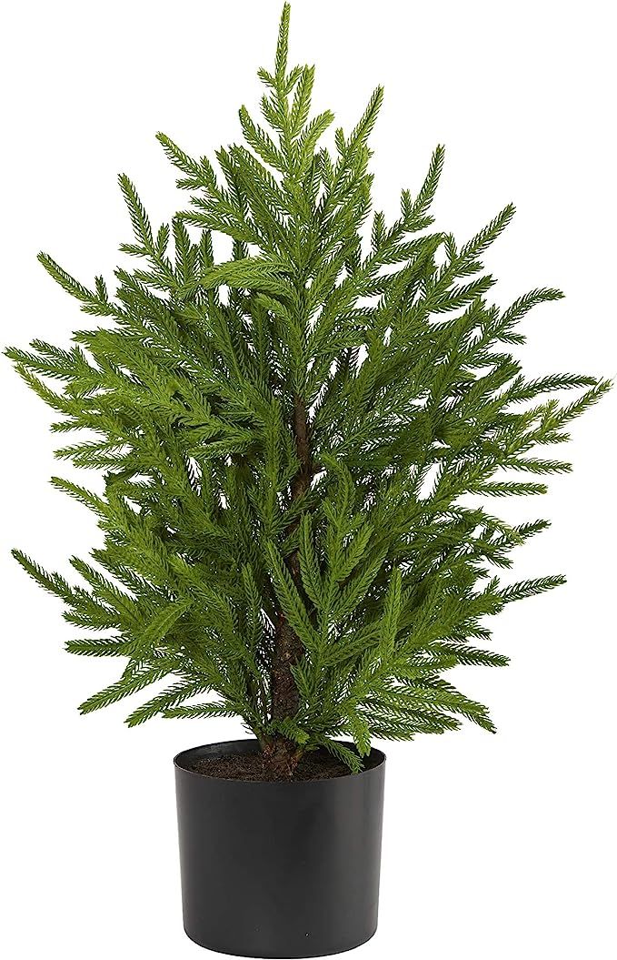 Nearly Natural 2ft. Norfolk Island Pine “Natural Look” Artificial Tree in Decorative Planter,... | Amazon (US)