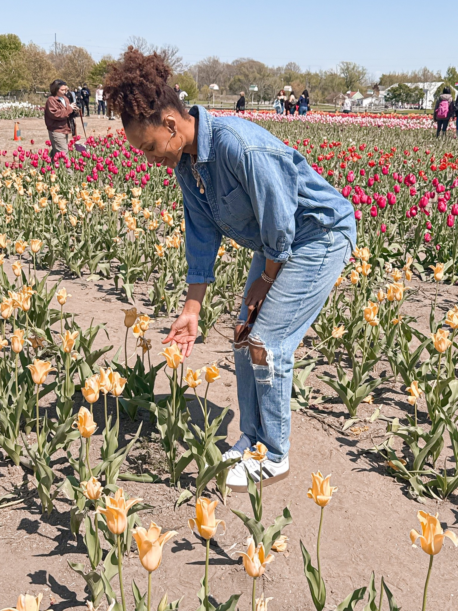 Checking out the tulips at Tulip Festival in Michigan. I had hoped to wear a cute sundress but it was cold so denim on denim it was.

#LTKootd #LTKOver40