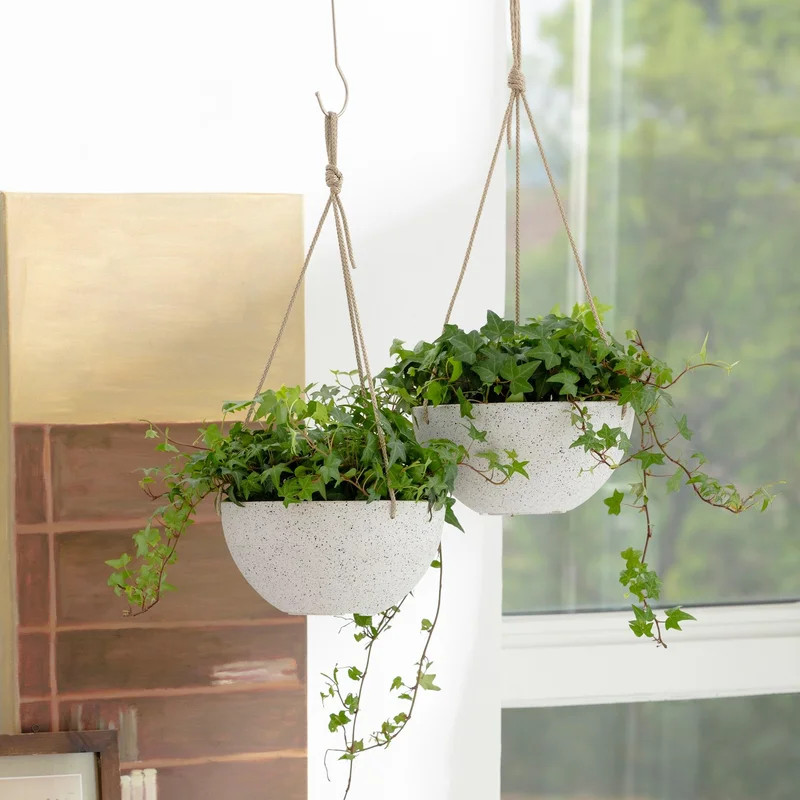 Nova Hanging Planter | Wayfair North America