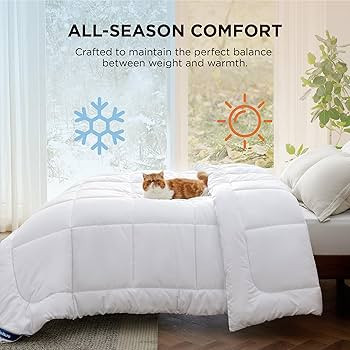 Bedsure Comforter Duvet Insert - Quilted Comforters King Size, All Season Duvet, GentleSoft Down ... | Amazon (US)