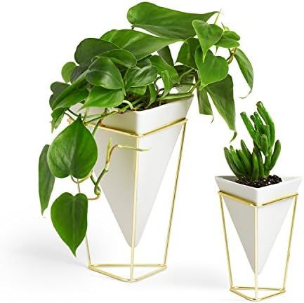 Umbra Trigg Geometric Planter, Wall and Desk Decor Ceramic Containers and Vases-for Succulents, A... | Amazon (US)